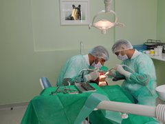 Artistic Dent - Clinica stomatologica, Bucuresti